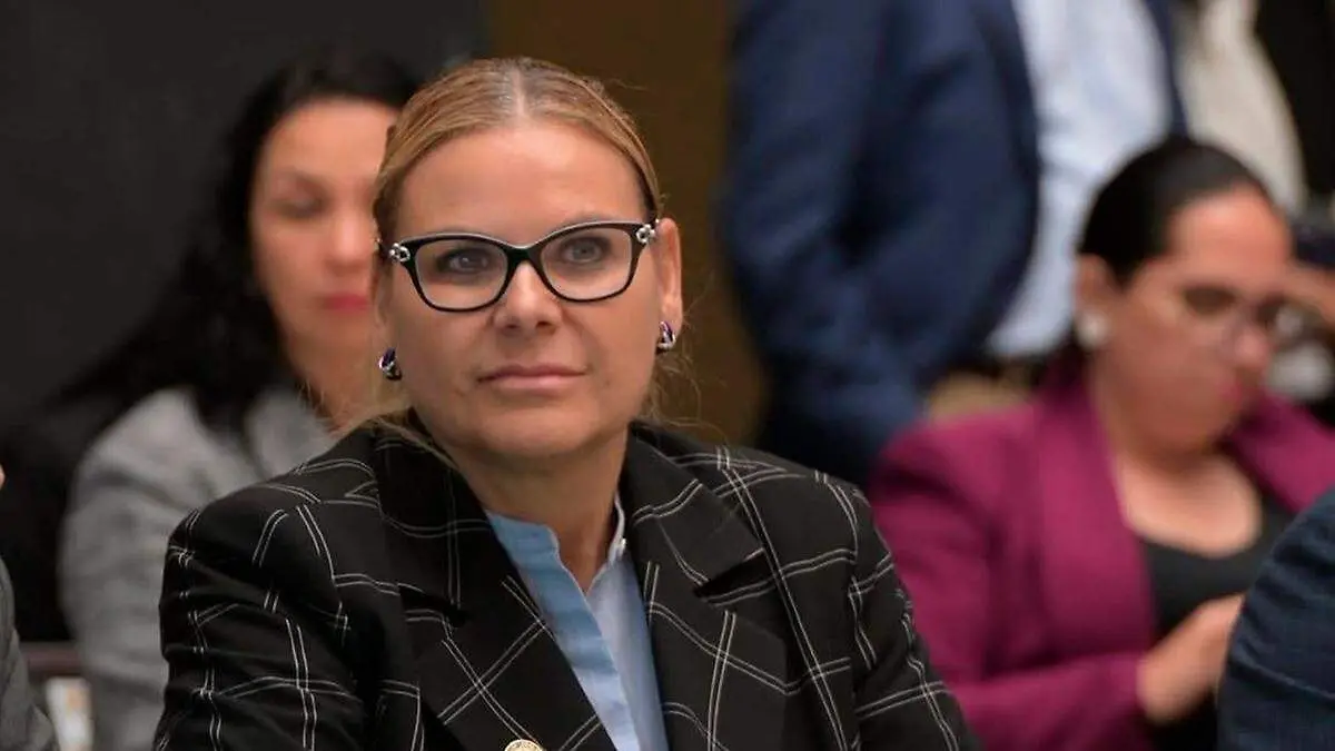 Julia Olguín Serna, diputada federal