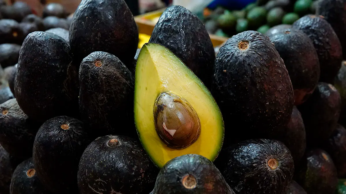 Aguacate