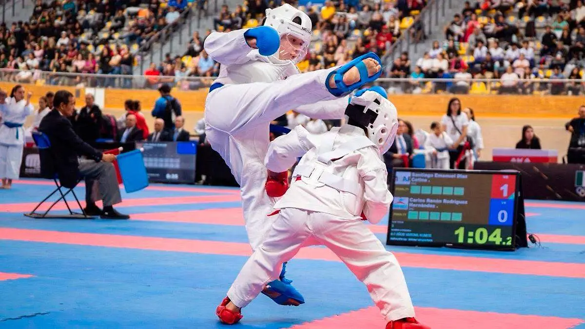 Pelea de karate