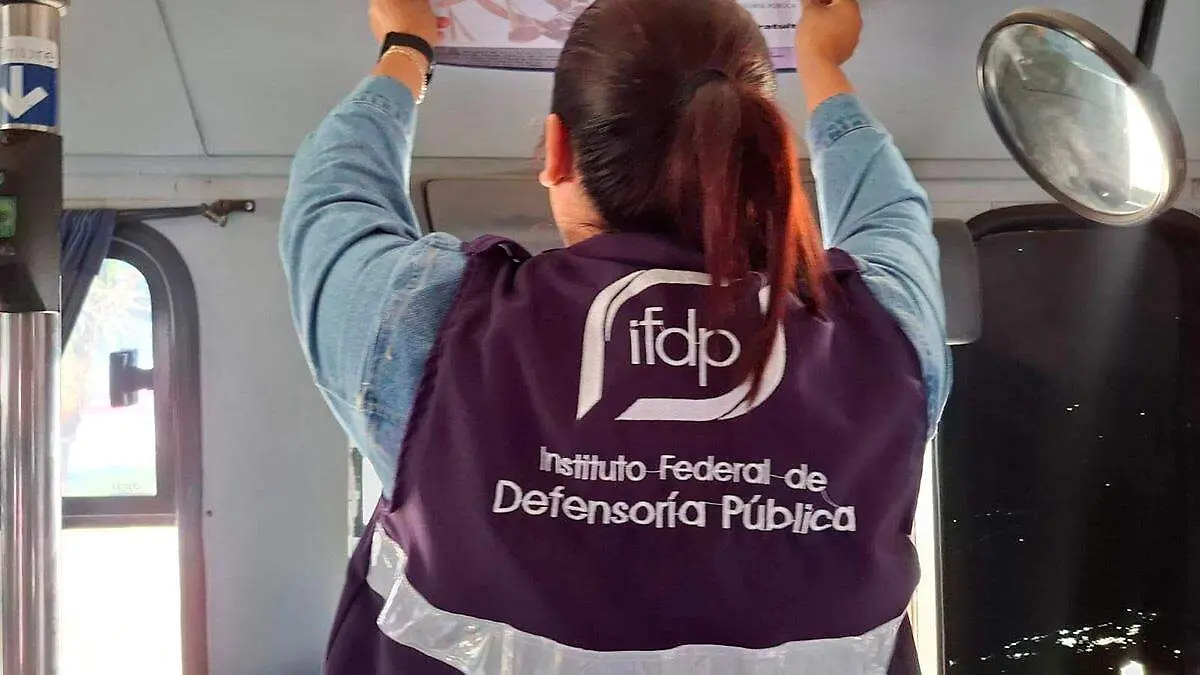 Colaboradora del Instituto Federal de Defensoría Pública