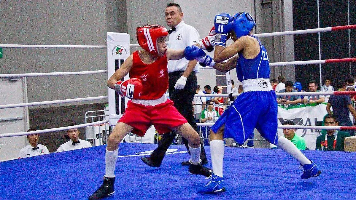 Boxeadores