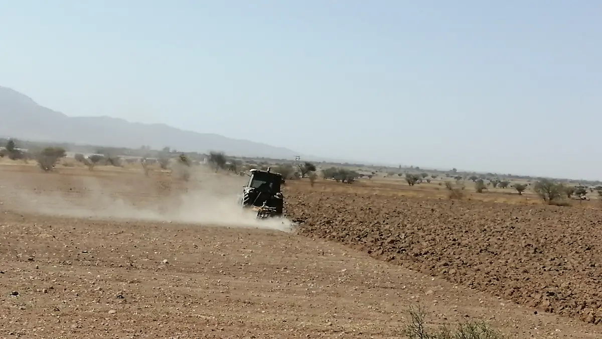 Siembra en campos de Fresnillo, Zacatecas