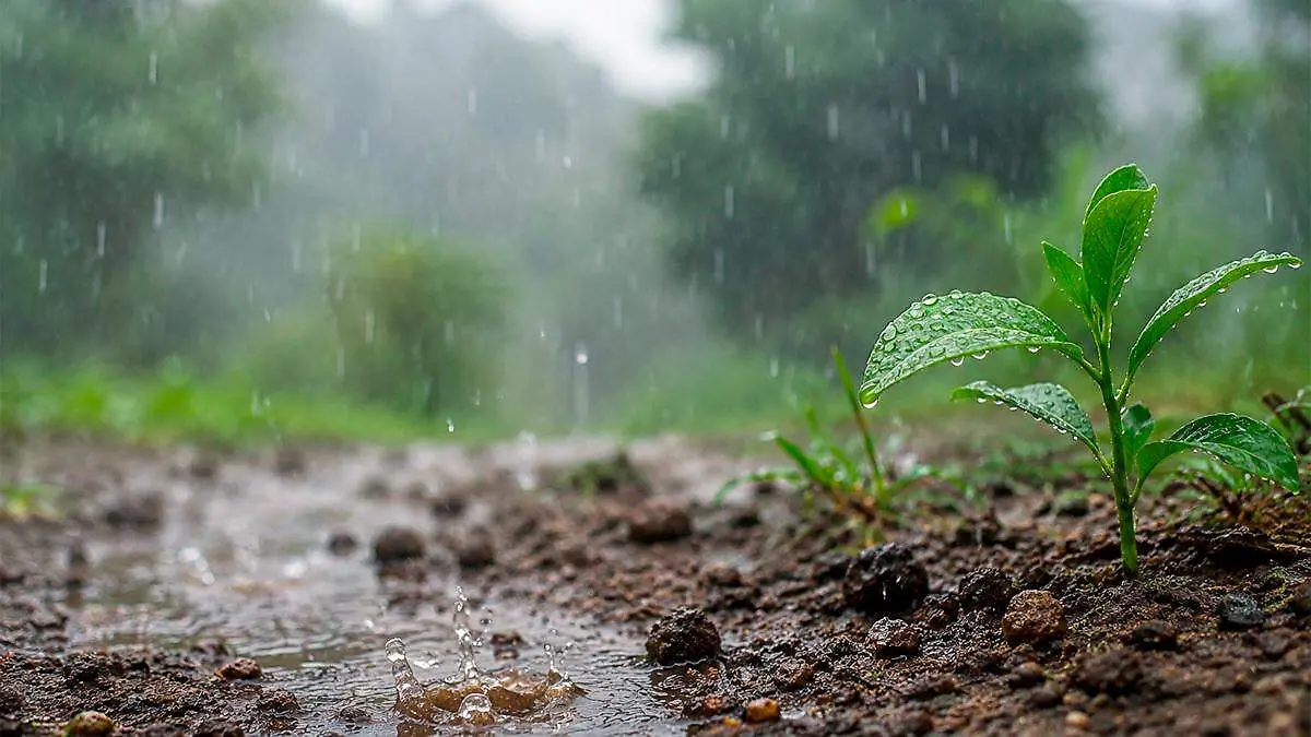 Lluvia cayendo