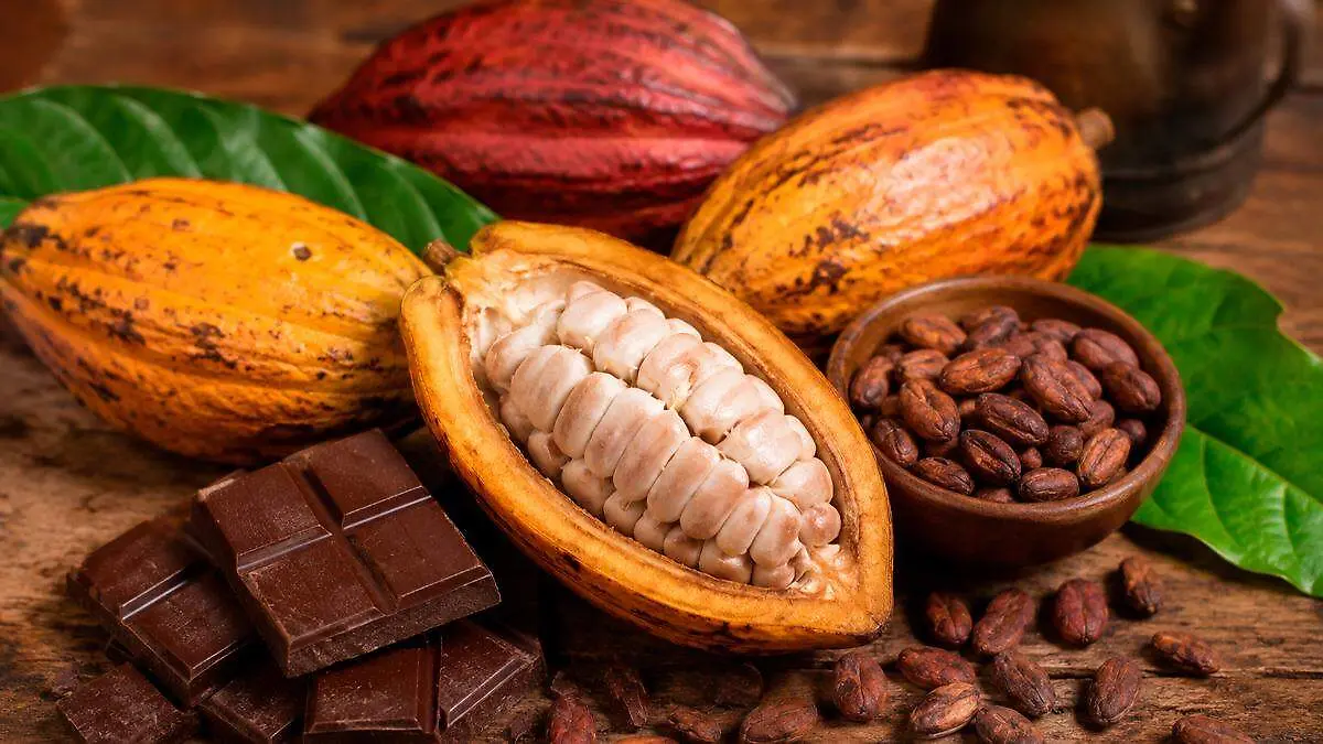 Día del cacao