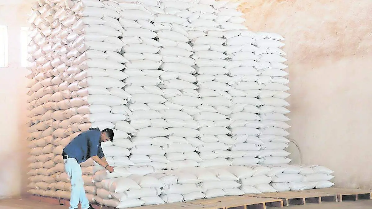 Producción de frijol en bodegas en Zacatecas