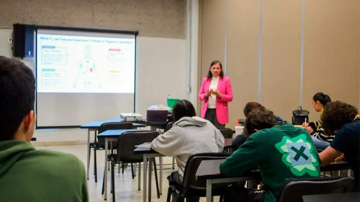 Actividades en el Cozcyt