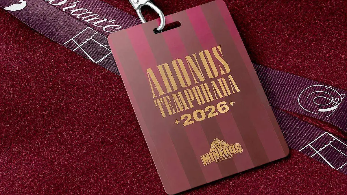 Bonos Mineros LNBP