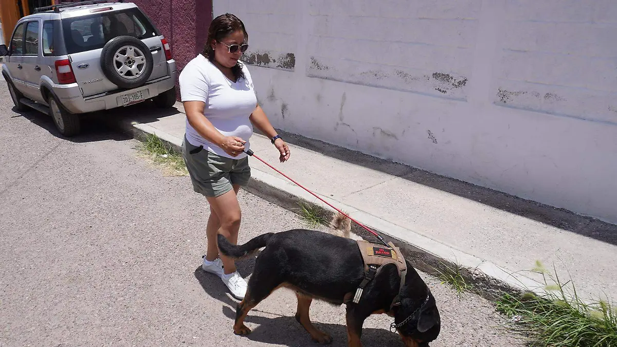 Mujer paseando a su mascota perruna
