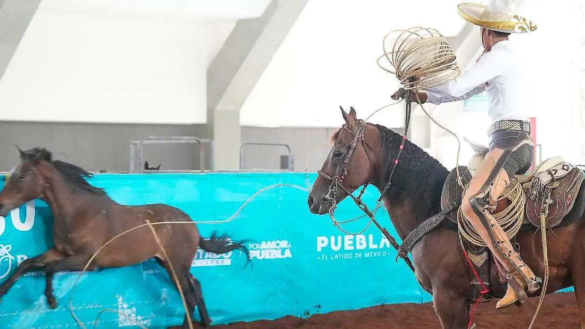 Competencia de charrería