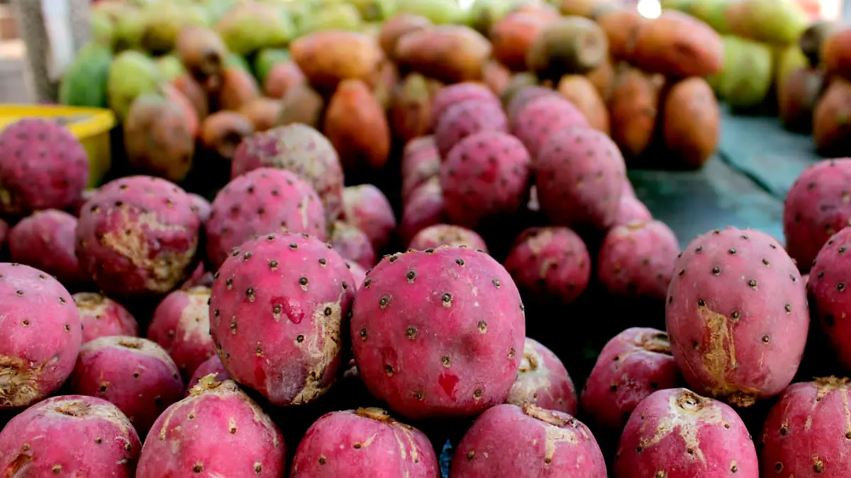 Tunas zacatecanas