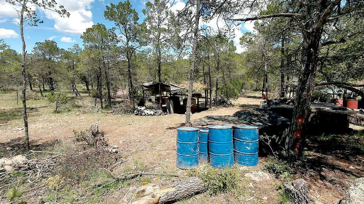 Desmantelan laboratorio clandestino en Fresnillo, Zacatecas