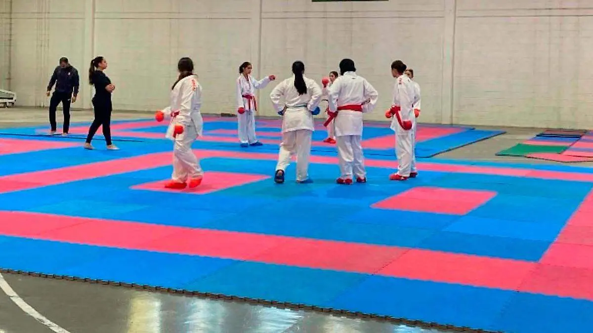Competencia de karate