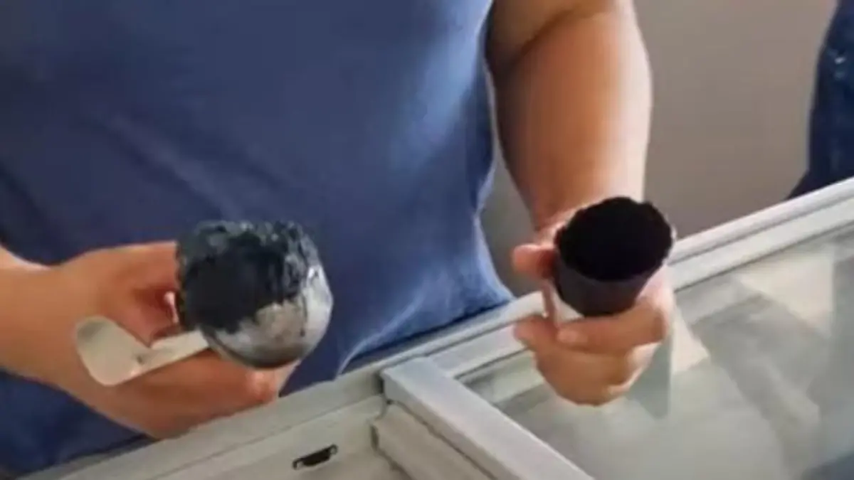 Nieve de carbón
