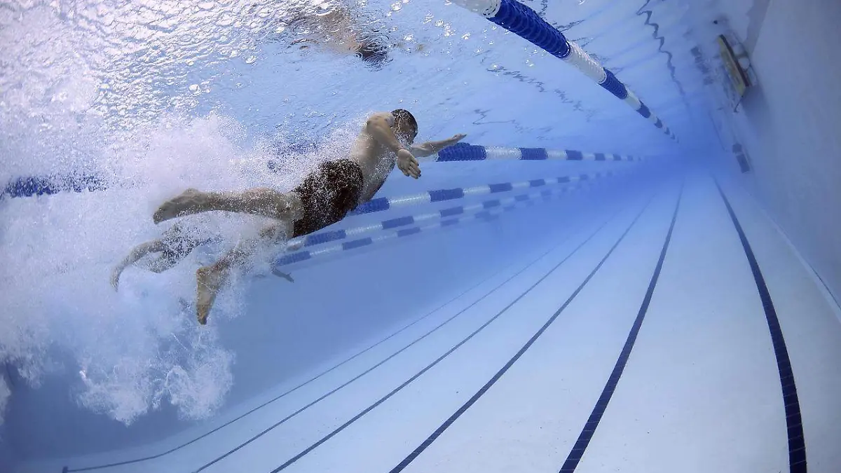 swimmers-79592_1280