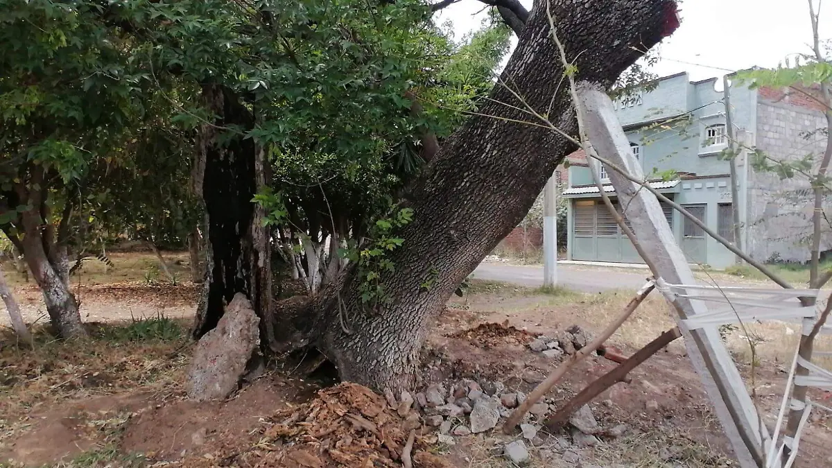 897ba766-5471-497e-ba2f-be18e09e3107