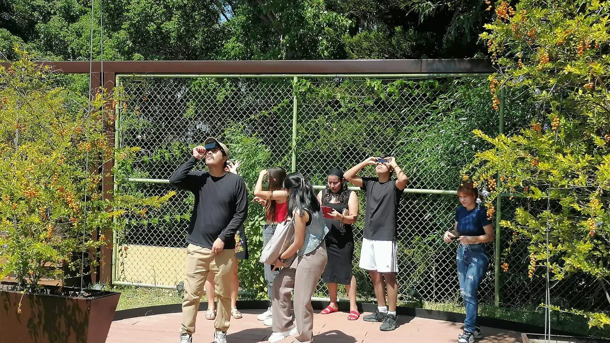 Eclipse solar zamora 