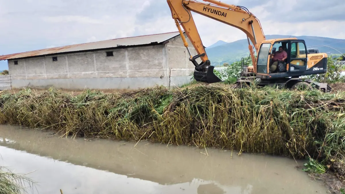 Desazolvan canal de riego