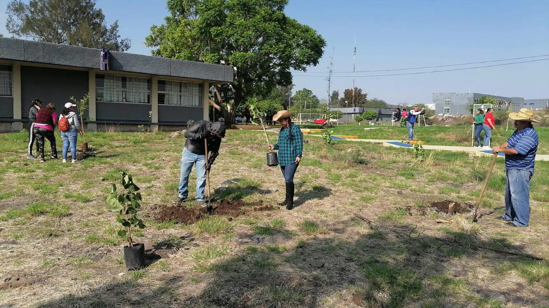 reforestan