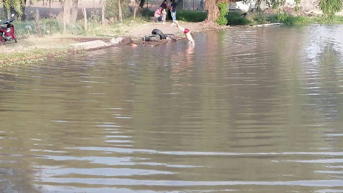 Laguna
