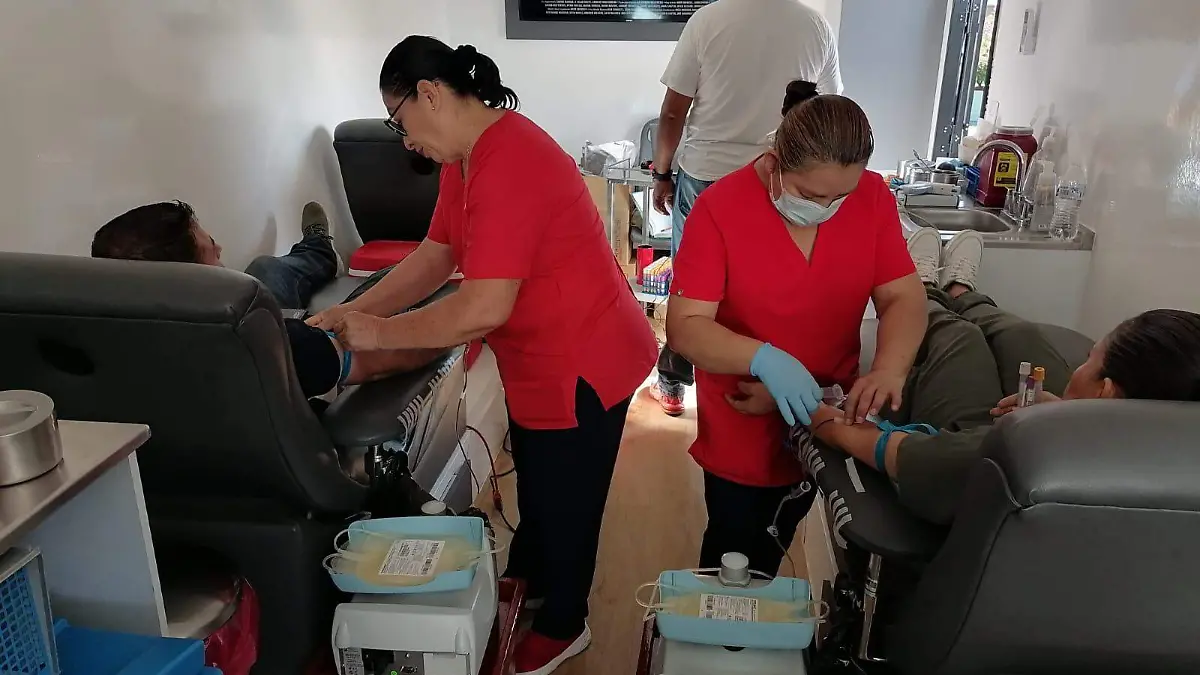 Donación de sangre 