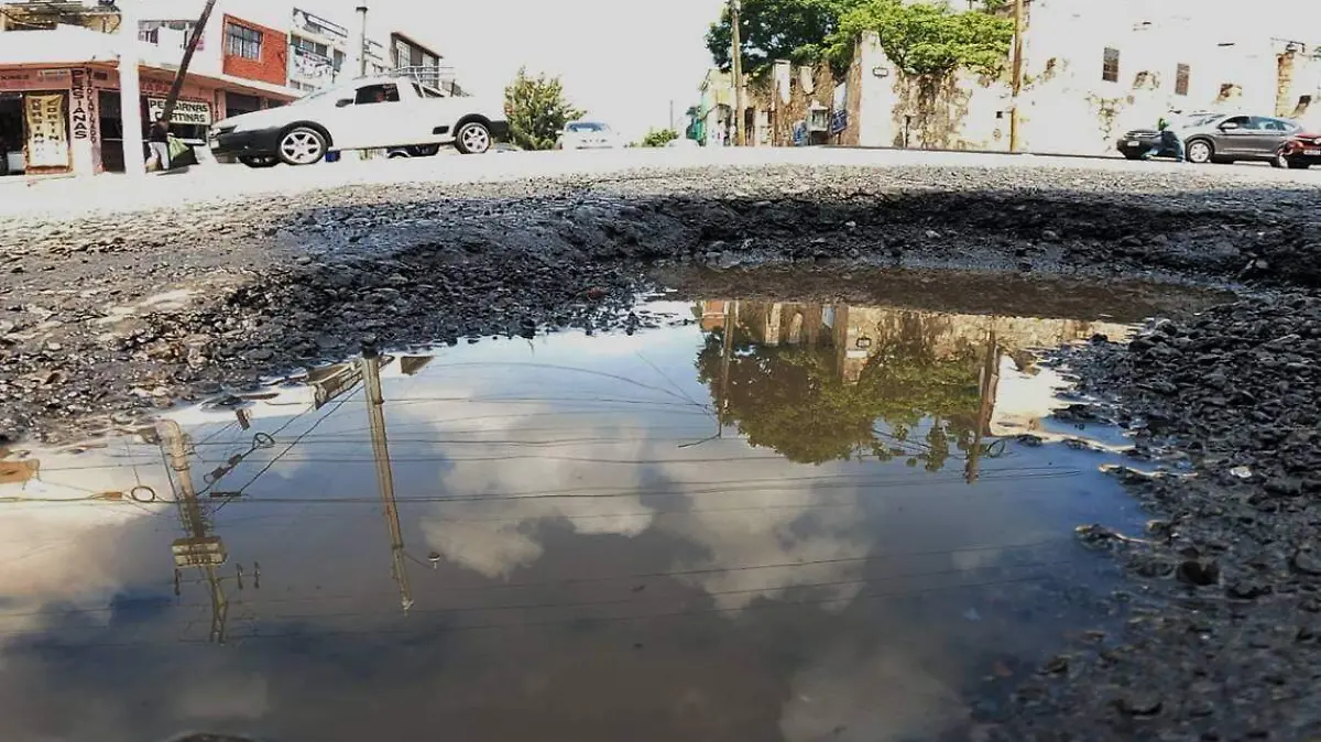 Baches