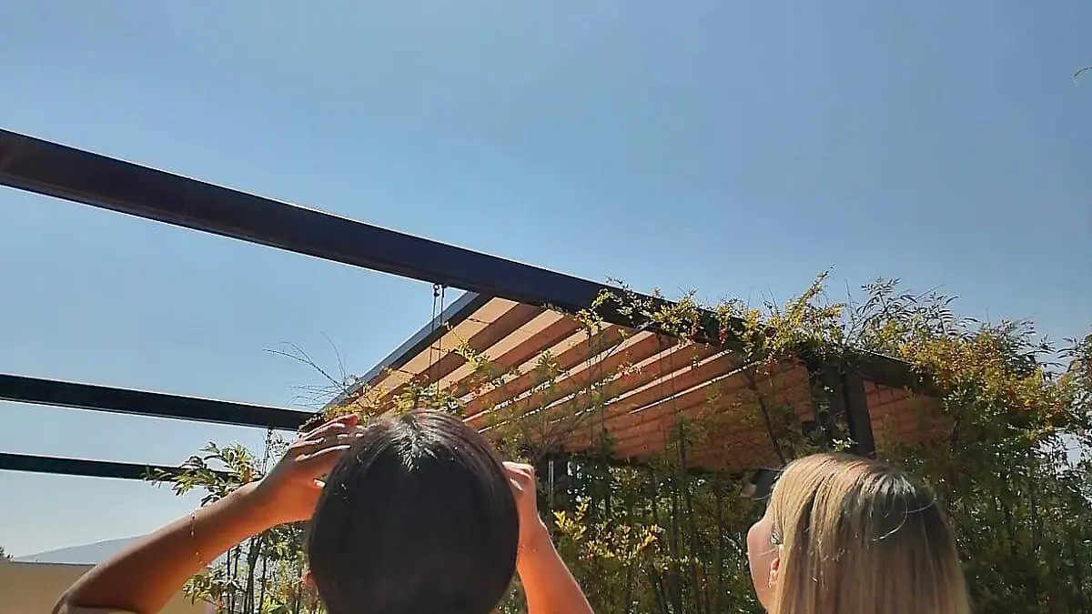 Eclipse solar Zamora 