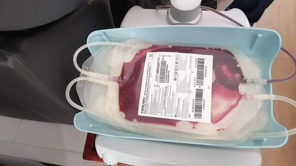 Donación de sangre 