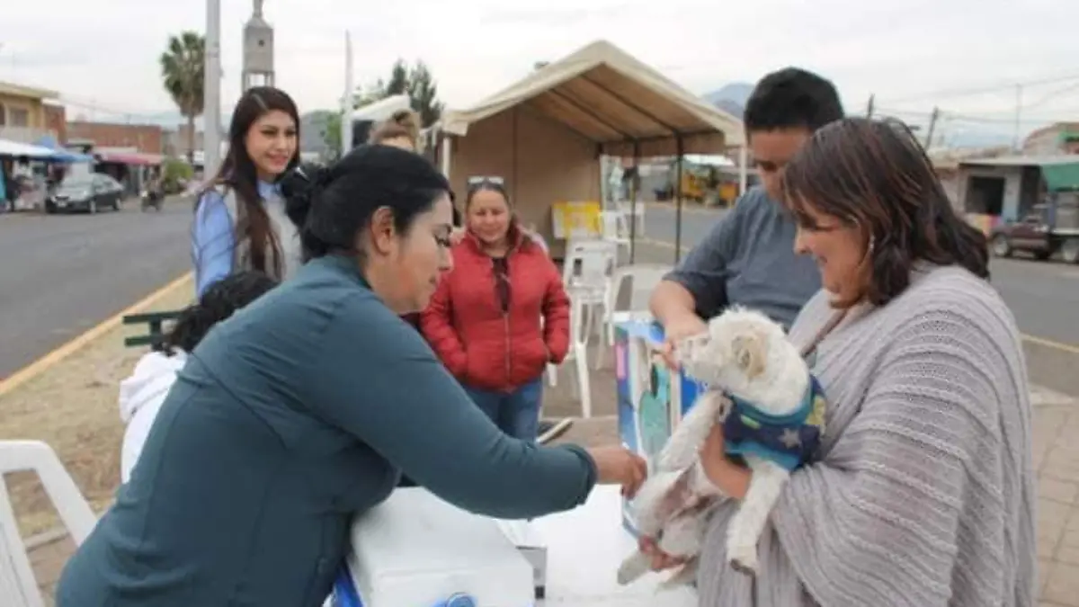 Feria de la Salud