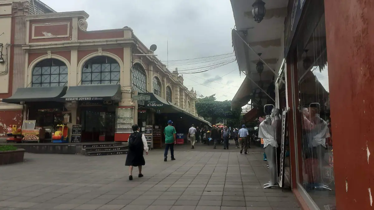 WhatsApp Image 2023-11-23 at 16.58.00