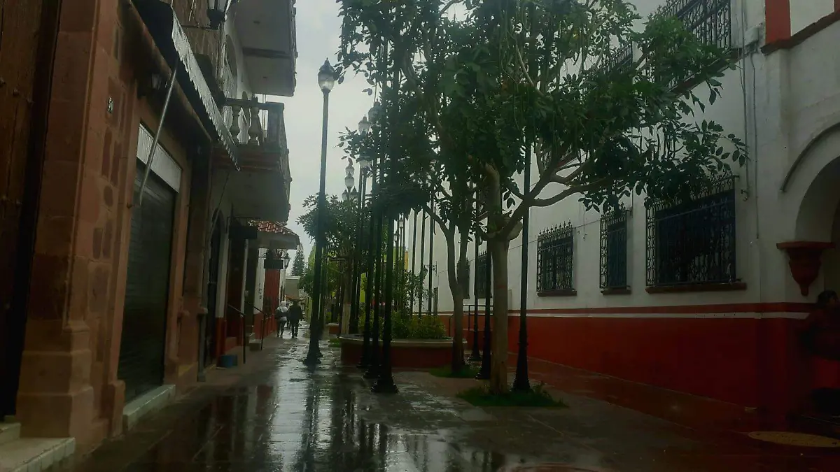 WhatsApp Image 2023-12-06 at 17.00.51