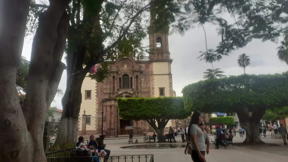 Zamora 5