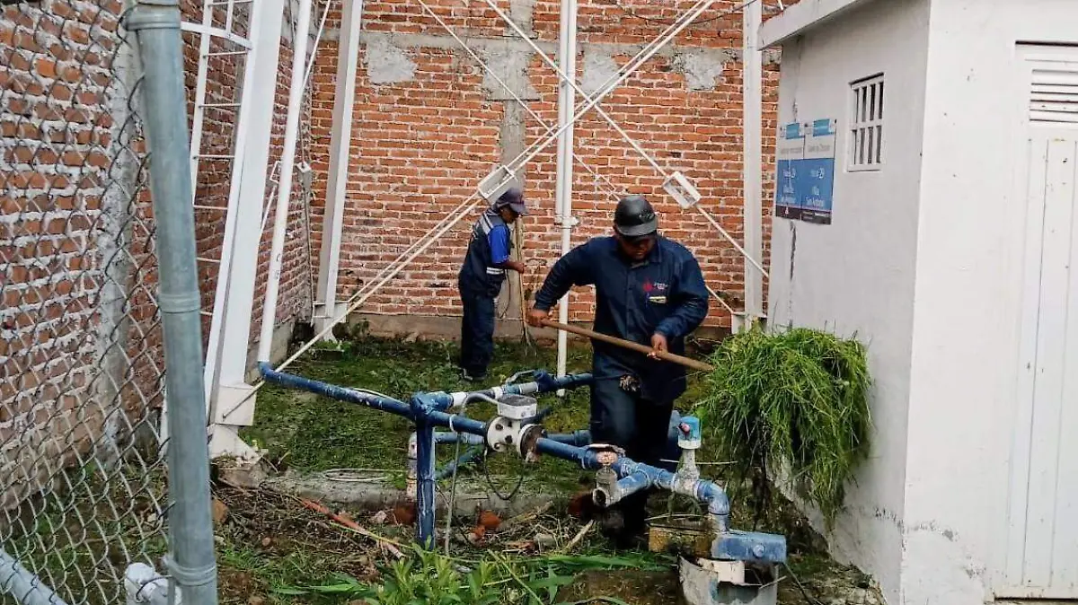 SAPAZ Jacinto López 2