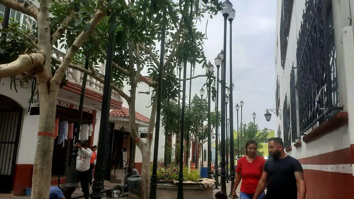 Luminarias Jiquilpan 