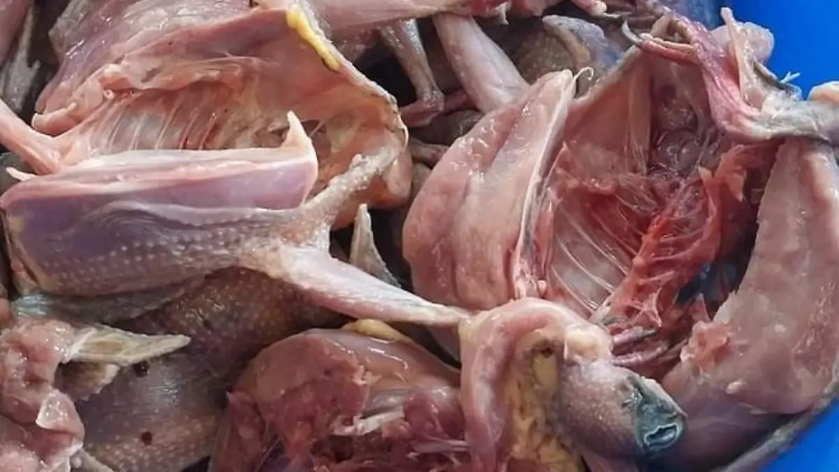 Huilota