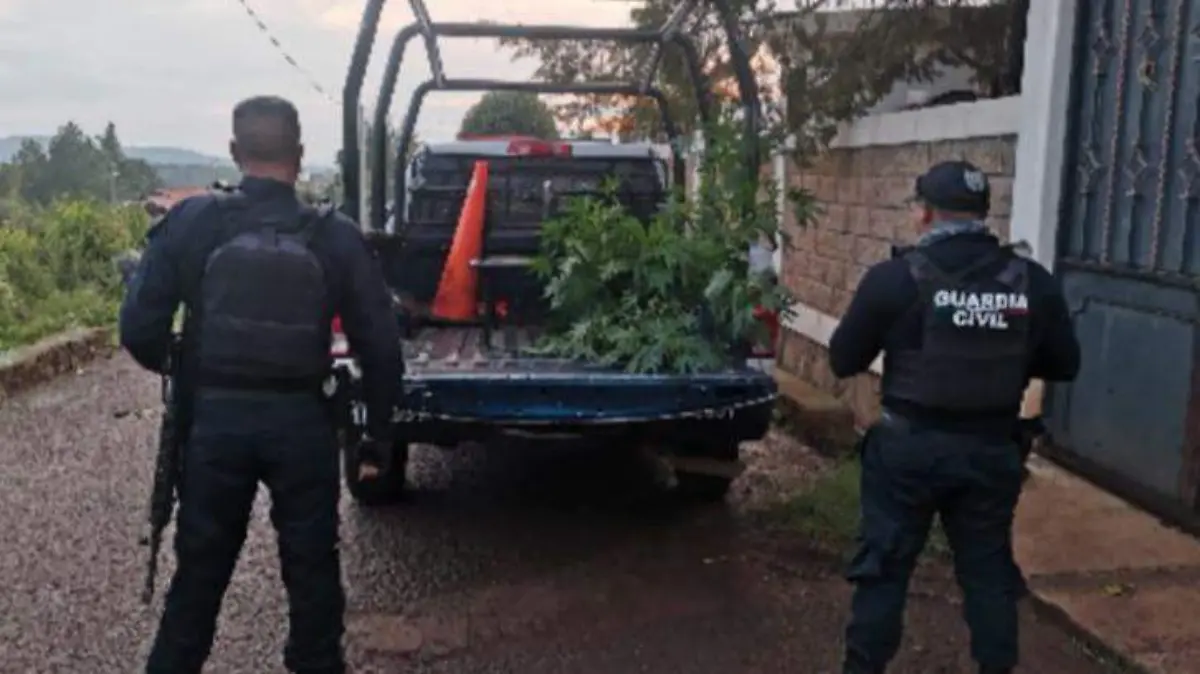 Marihuana