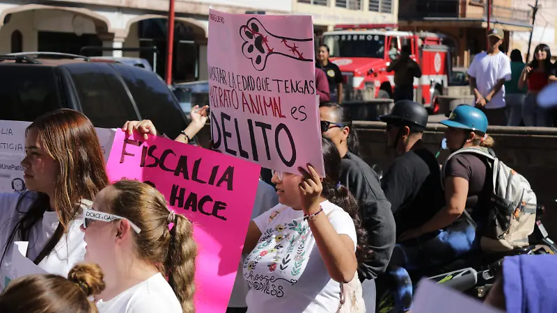 Pancarta en Marcha por Asesinato de Perro