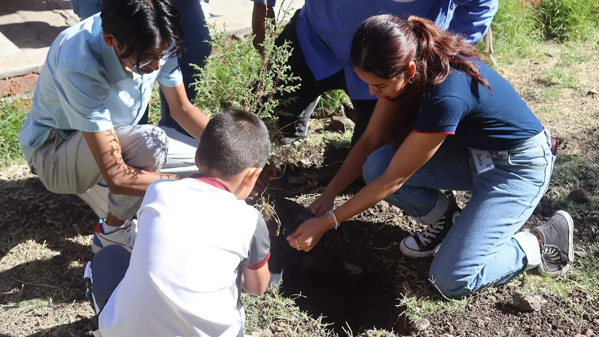 reforestacion3