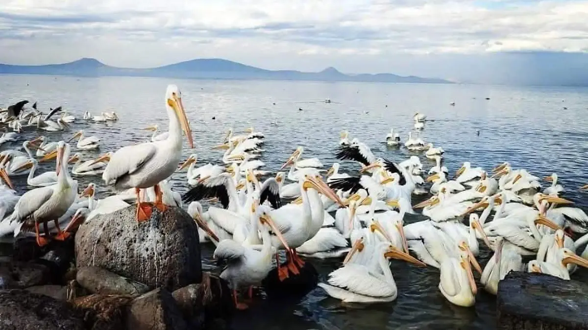 7e580896-311f-4a9f-96a4-fb9d932072d5