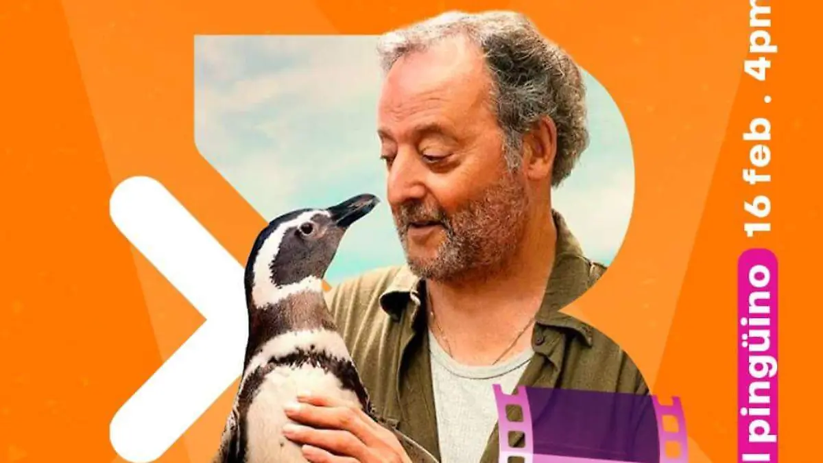 Mi amigo el pingüino