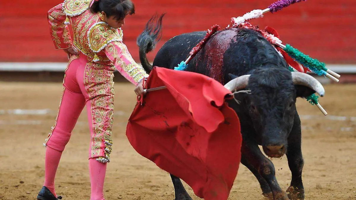 TAUROMAQUIA HILDA_CUARTOSCURO 1 (1)