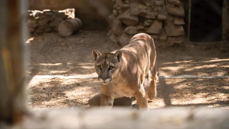 490923855_1068977701923274_8405959451920878470_n