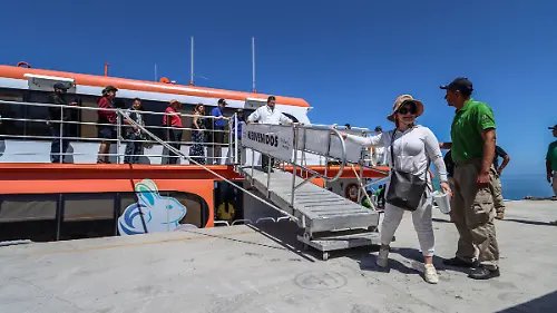 turistas
