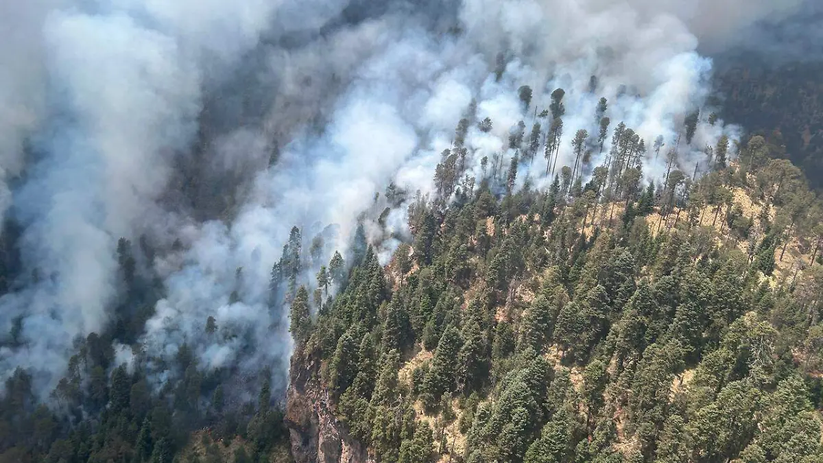 Tancítaro incendio