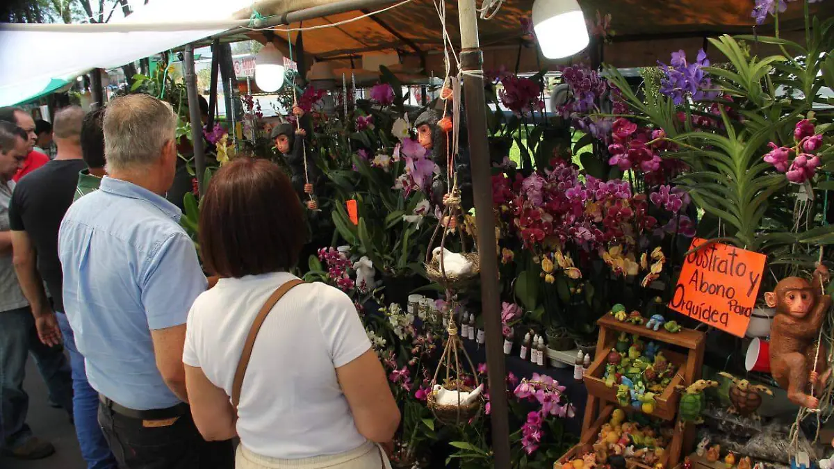 Orquídeas