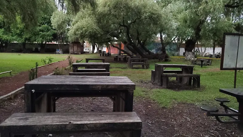 Comedores en la Laguna de Zacapu 