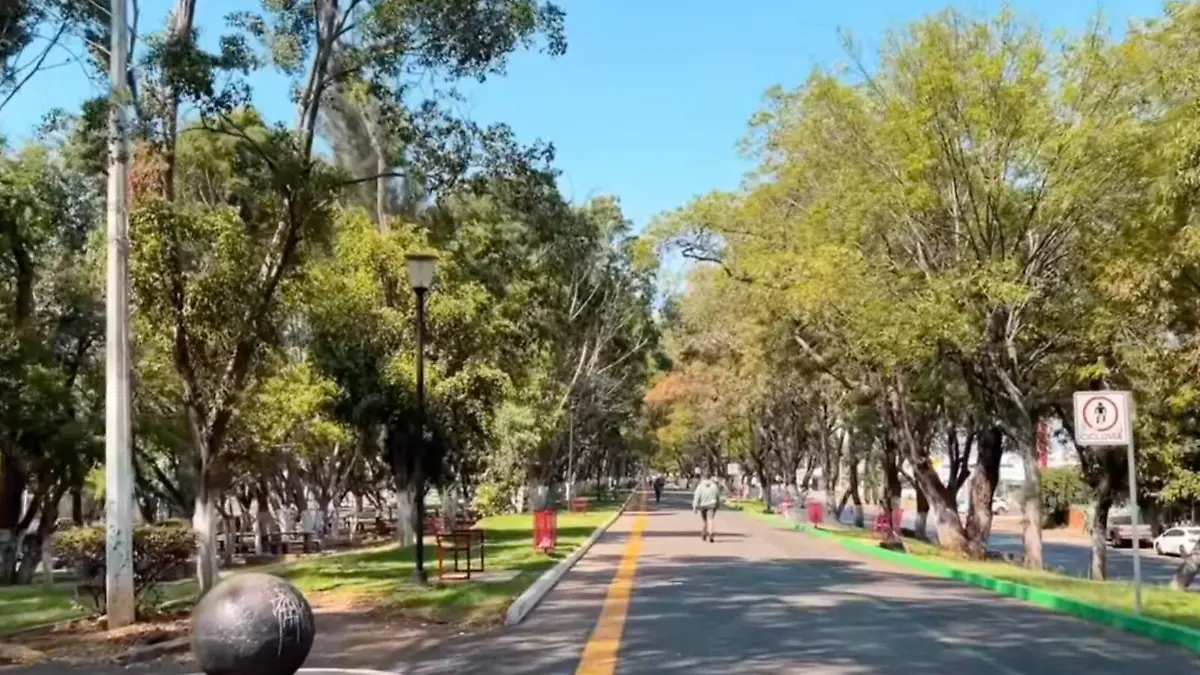 Imagen de WhatsApp 2025-08-04 a las 20.44.14_8f3b07cf