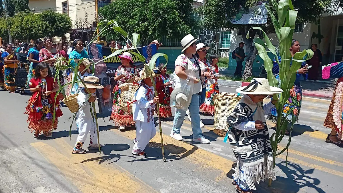 Desfile de artesano michoacano
