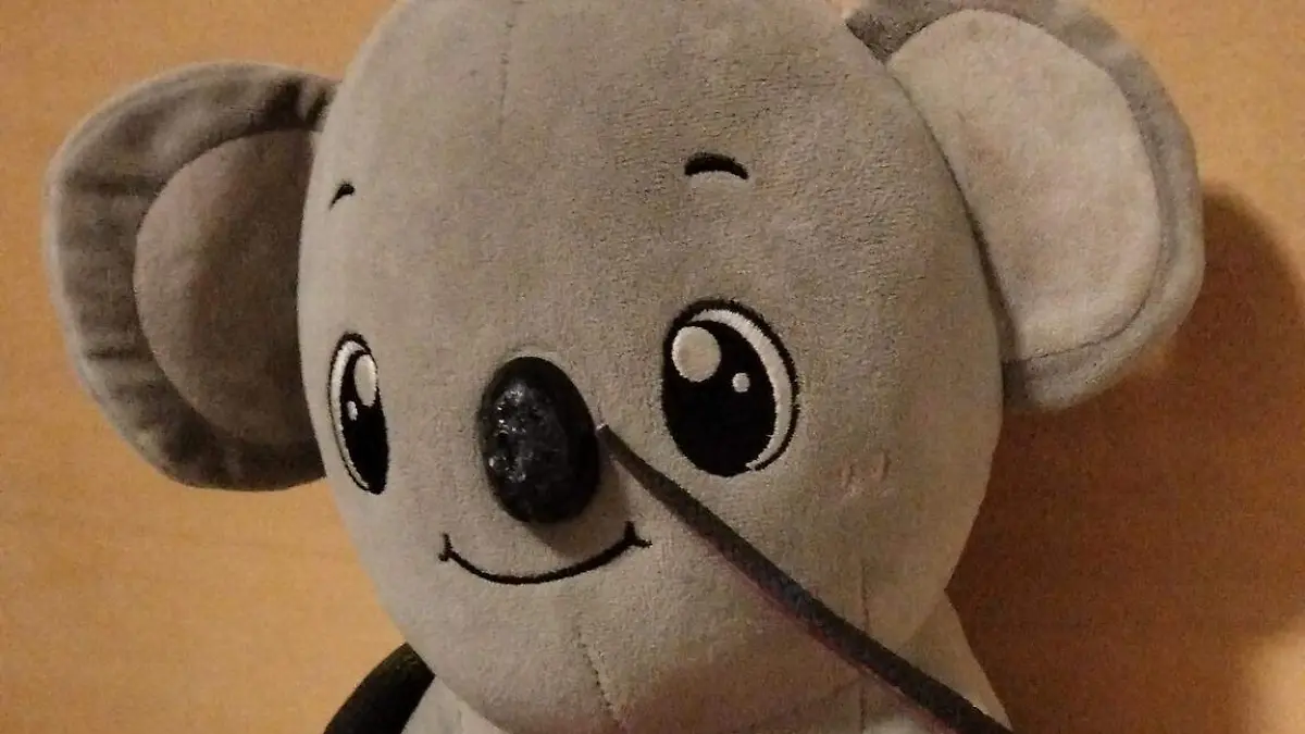 Peluche extraviado