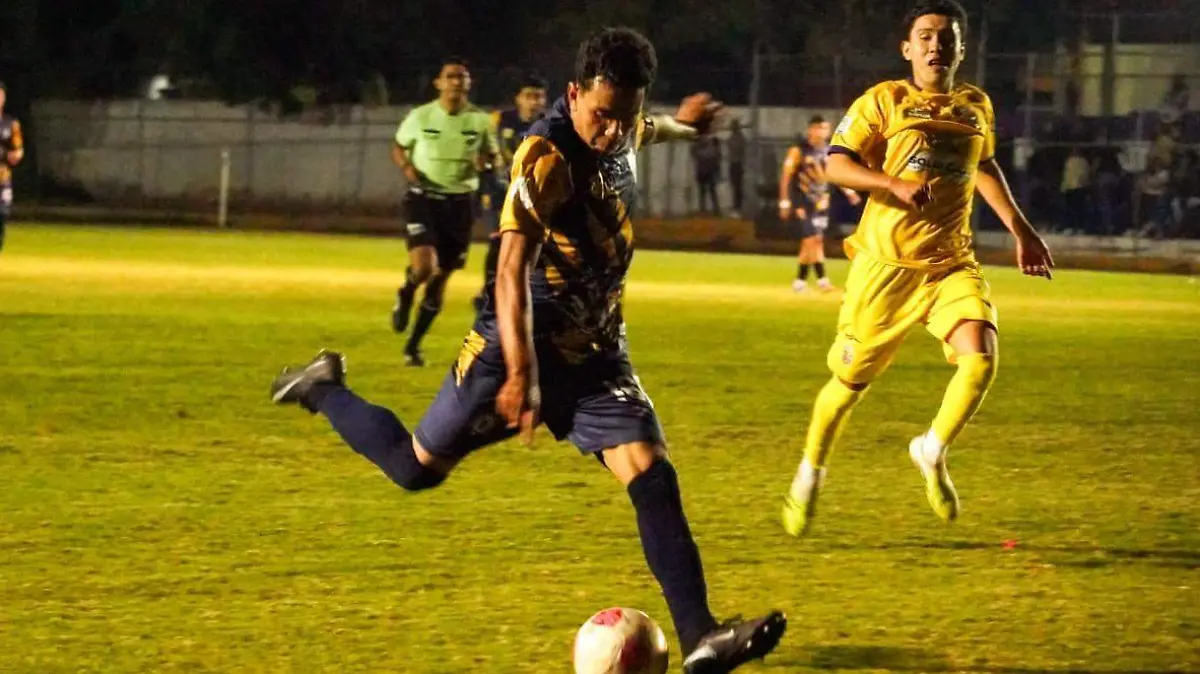 05e067b1-6b8c-4dbe-9372-20a86fd91346