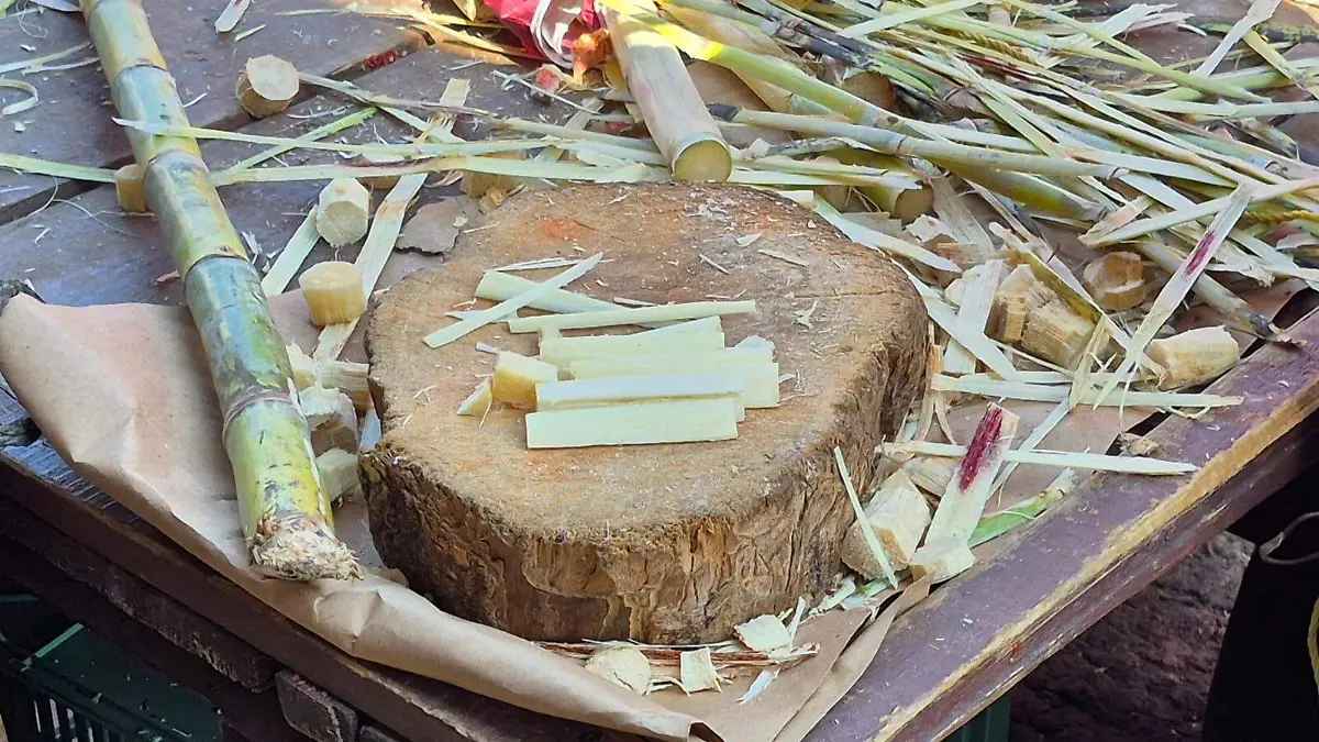 Cañas